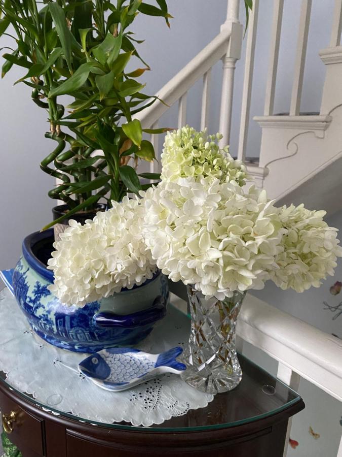 Northey Street House Bed and Breakfast Σάλεμ Εξωτερικό φωτογραφία