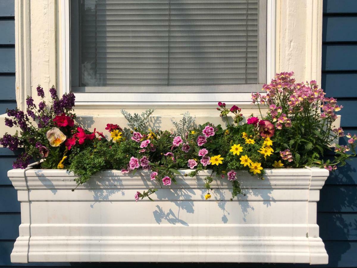 Northey Street House Bed and Breakfast Σάλεμ Εξωτερικό φωτογραφία